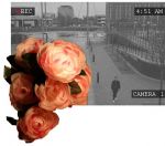 The Push Serial Killer Photography Exhibition Salford